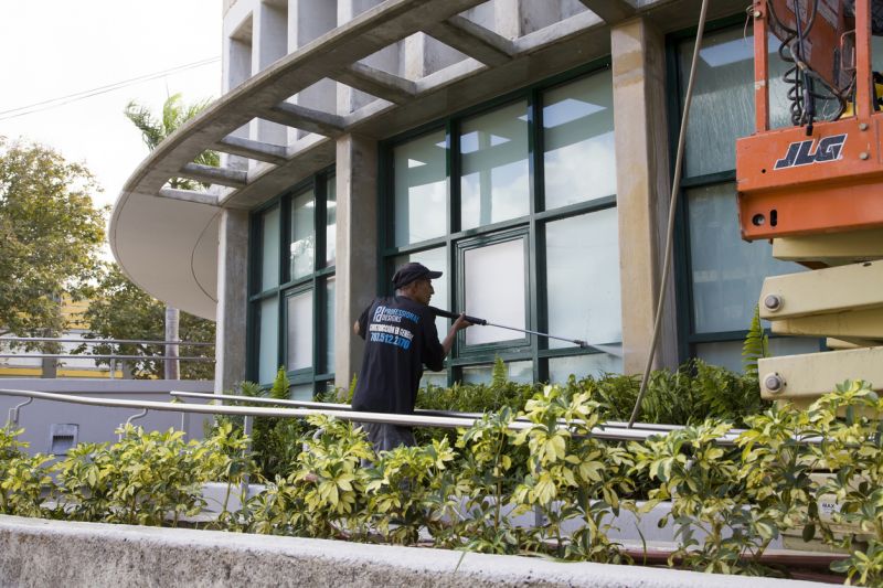 Window Washing Service detail