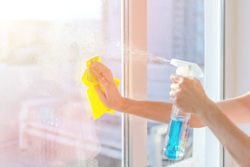 Home Window Cleaning